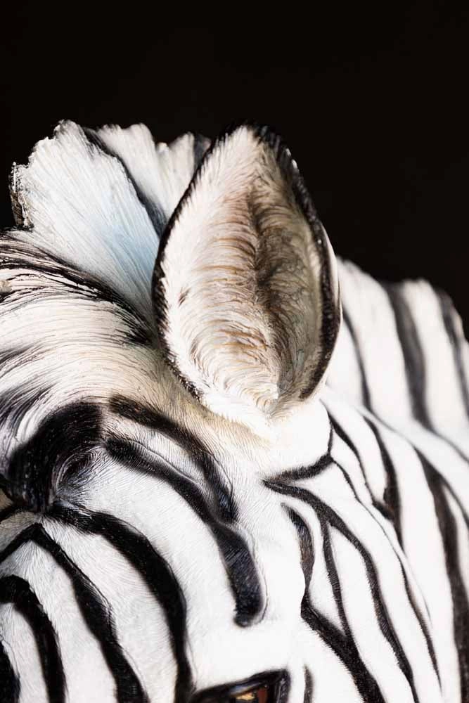 Zebra Head Wall Art