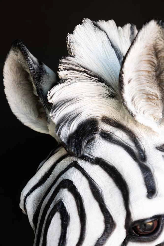 Zebra Head Wall Art