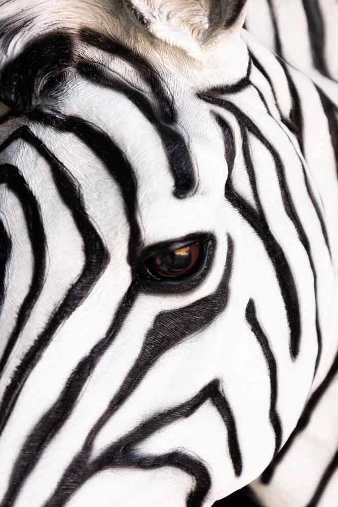 Zebra Head Wall Art